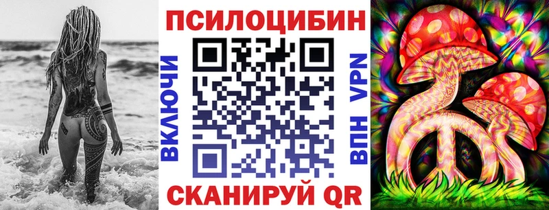Псилоцибиновые грибы мицелий  Венёв 